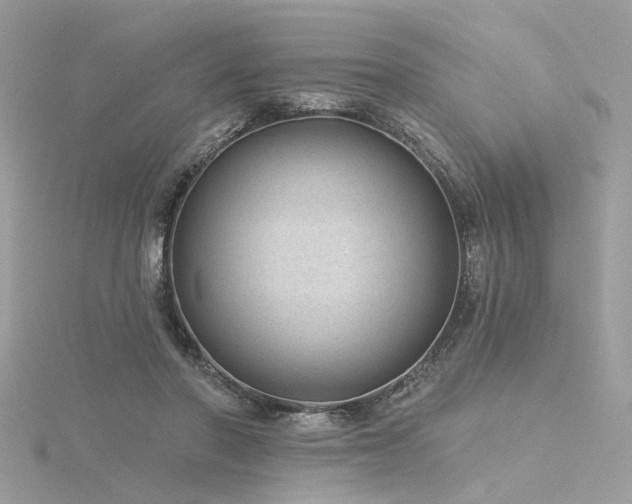 X0000116340406200912011354