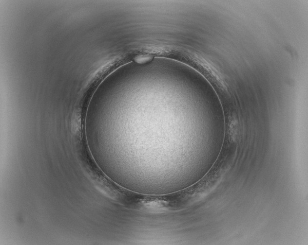 X0000116340407200912011354