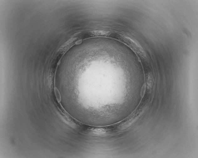 X0000116340409200912011354