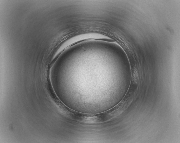 X0000116340410200912011354