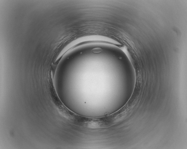 X0000116340412200912011354