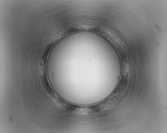 X0000116340414200912011354