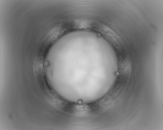 X0000116340415200912011354