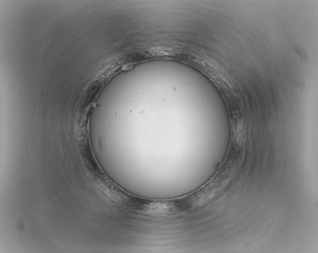 X0000116340418200912011354