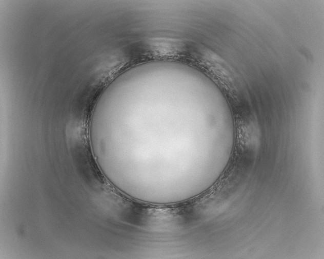 X0000116340419200912011354