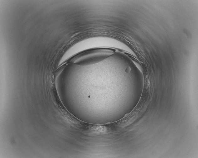 X0000116340421200912011353