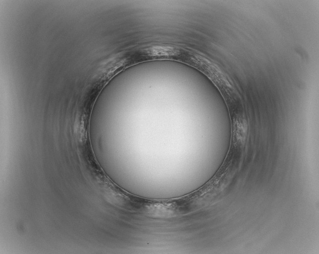 X0000116340422200912011353