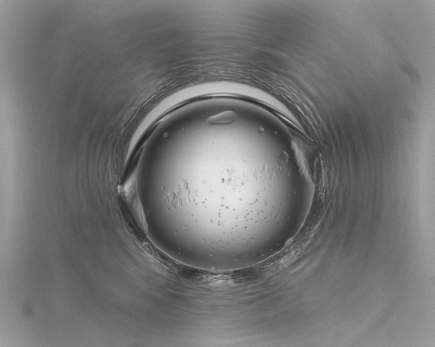 X0000116340424200912011353