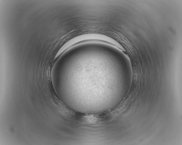 X0000116340425200912011353