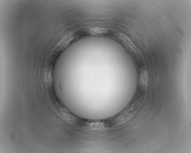 X0000116340426200912011353