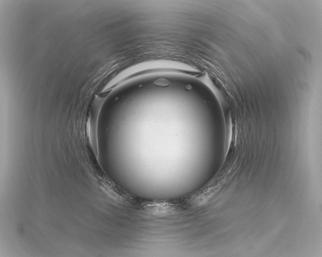 X0000116340428200912011353