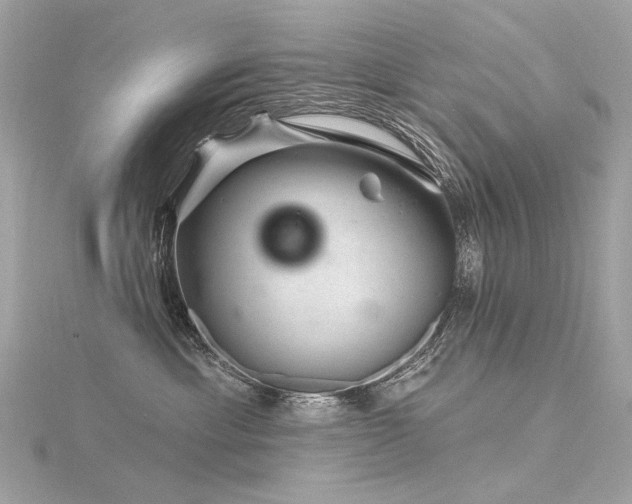 X0000116340429200912011353