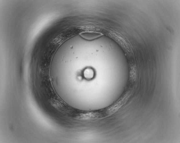 X0000116340430200912011353