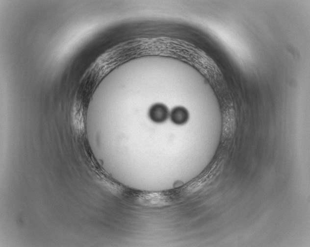 X0000116340431200912011353