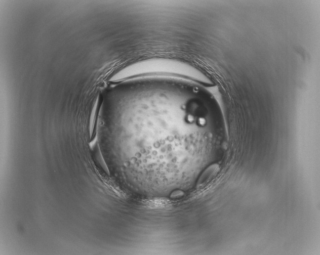 X0000116340432200912011353