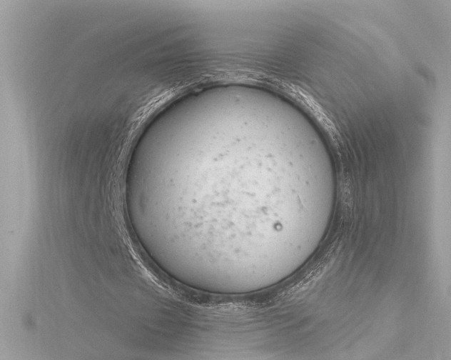 X0000116340433200912011353