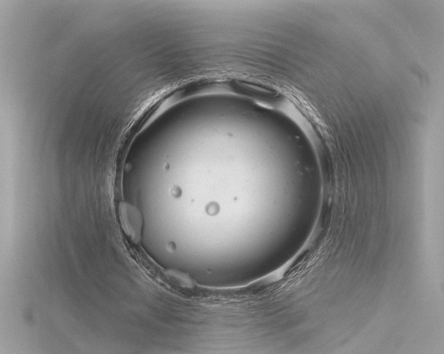 X0000116340434200912011353