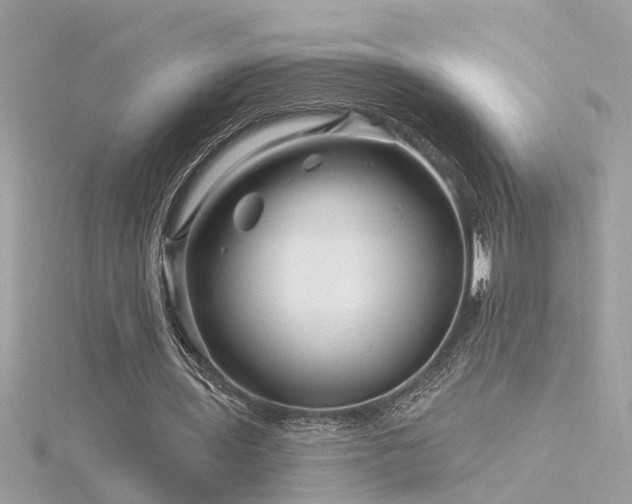 X0000116340435200912011353