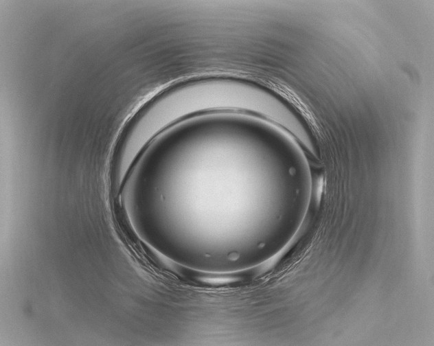 X0000116340436200912011353