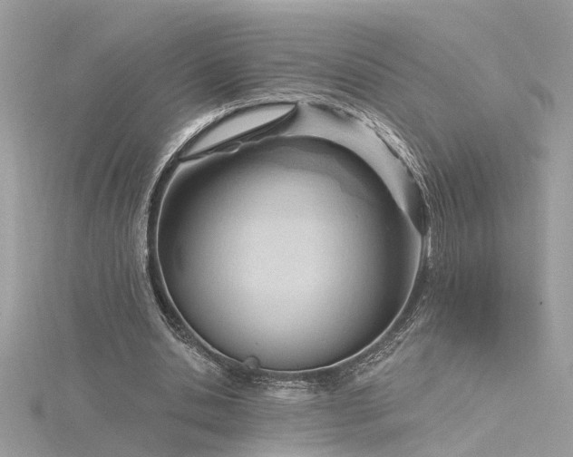 X0000116340438200912011353