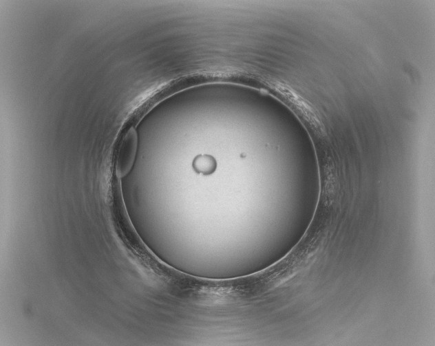 X0000116340440200912011353