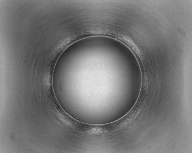 X0000116340441200912011353