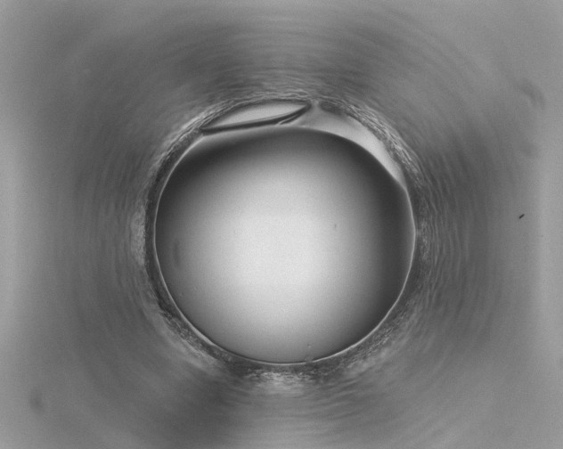 X0000116340442200912011353