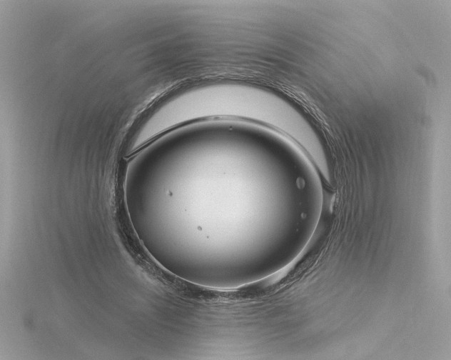 X0000116340444200912011353