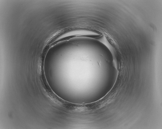 X0000116340446200912011353