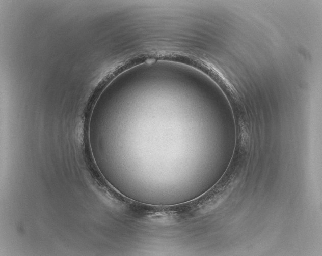 X0000116340447200912011353