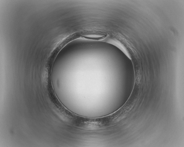 X0000116340448200912011353