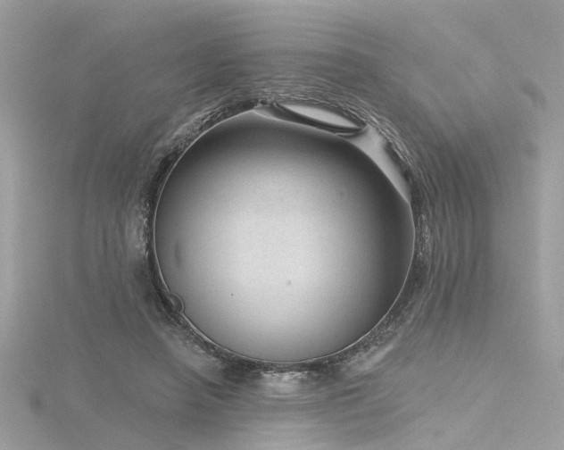 X0000116340450200912011353