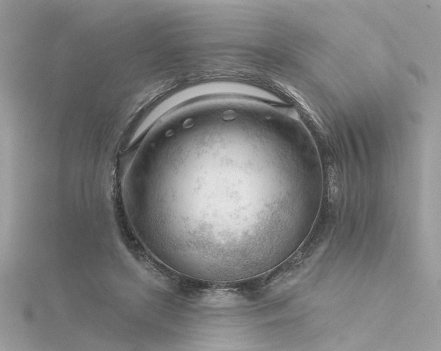 X0000116340451200912011353