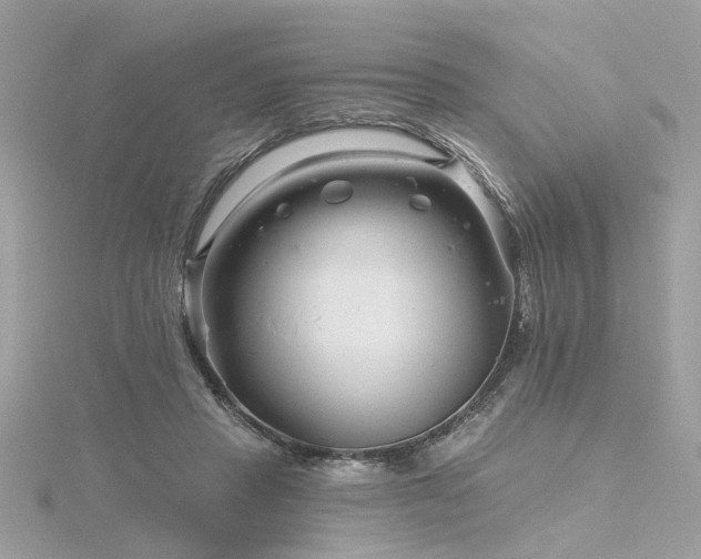 X0000116340453200912011353