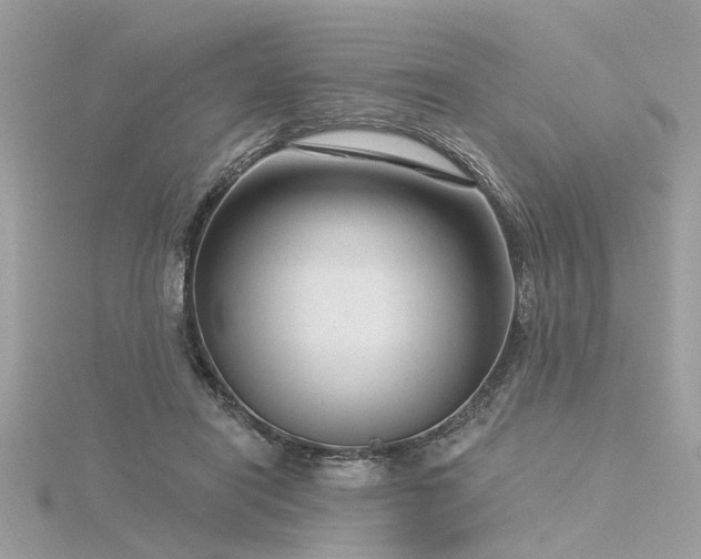 X0000116340454200912011353