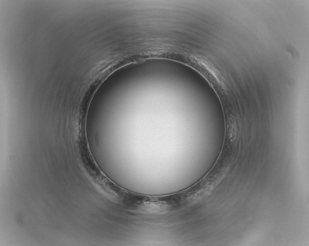 X0000116340455200912011353