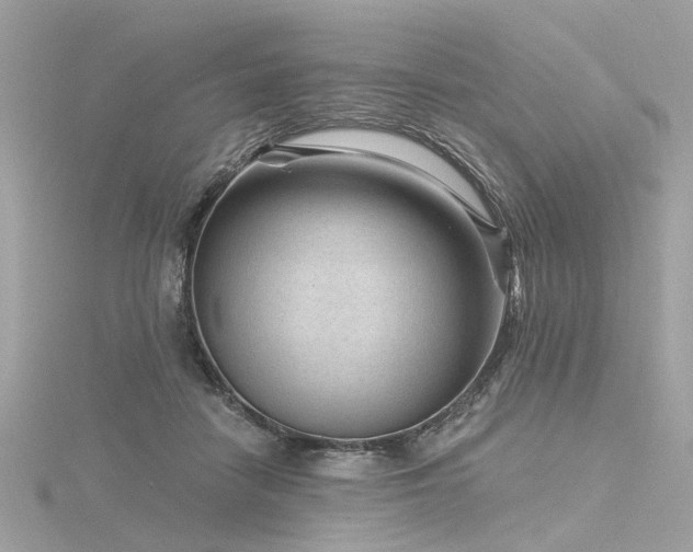 X0000116340458200912011353