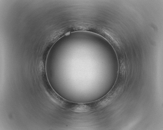 X0000116340459200912011353