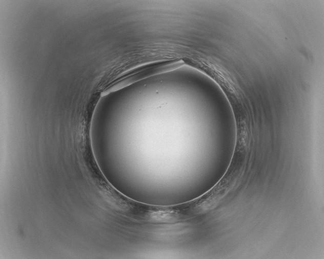 X0000116340461200912011353