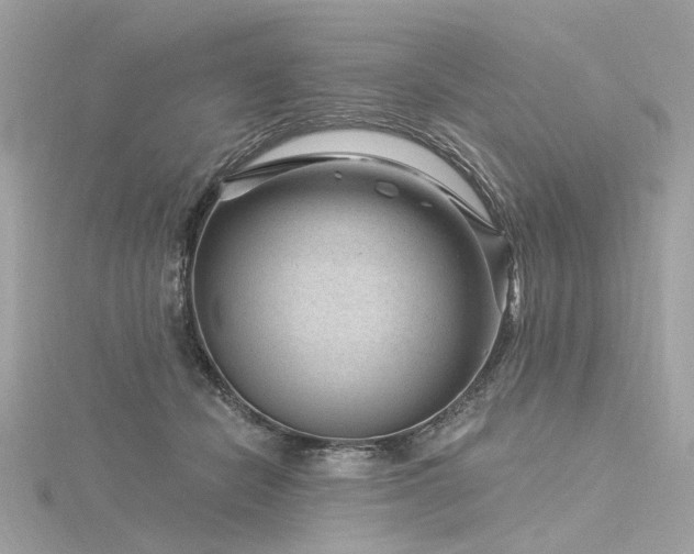 X0000116340462200912011353