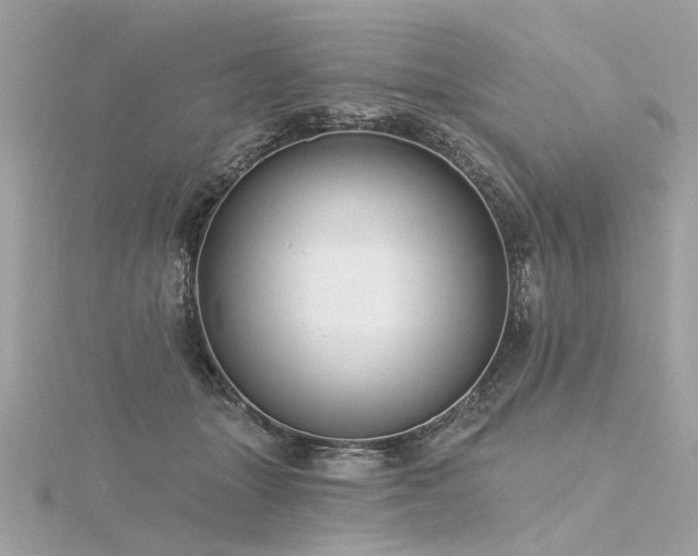 X0000116340463200912011353