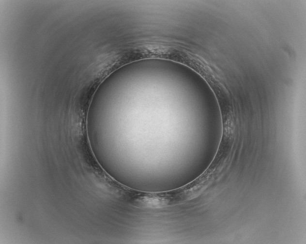 X0000116340464200912011353