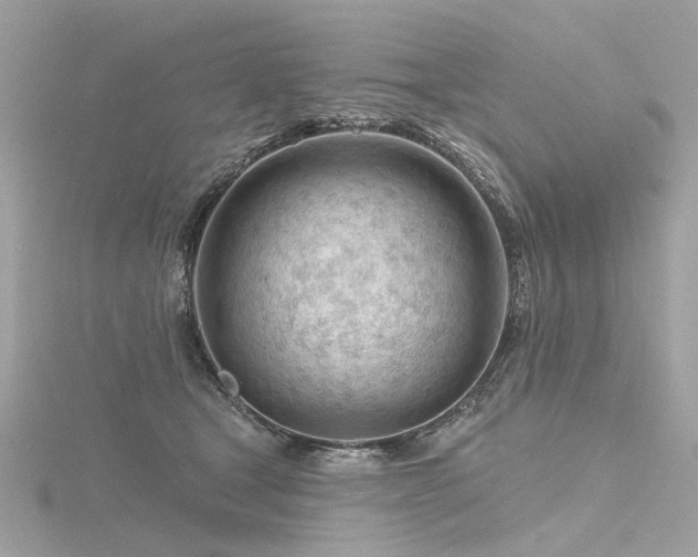 X0000116340465200912011353