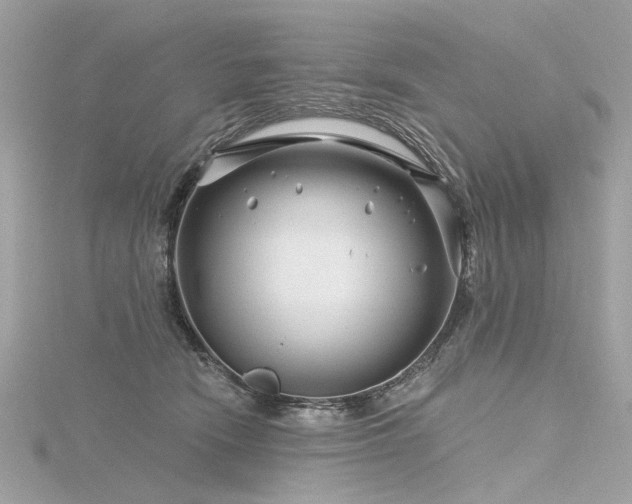 X0000116340466200912011353