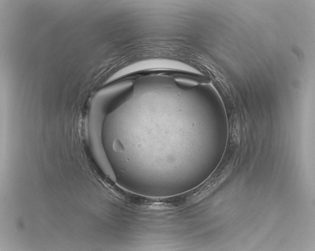 X0000116340467200912011353