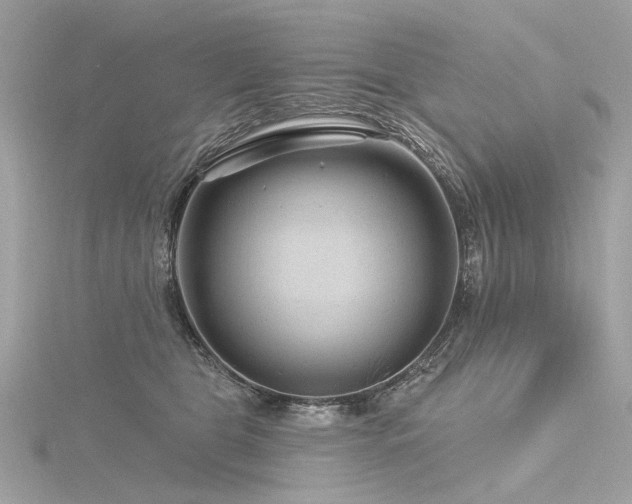 X0000116340469200912011353