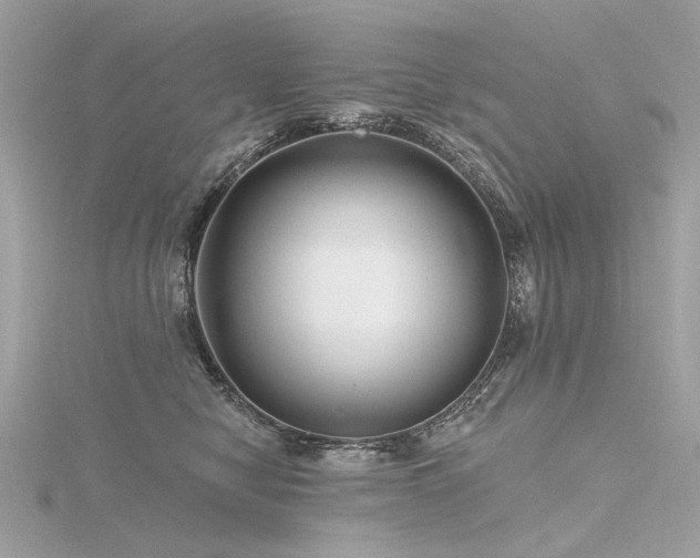 X0000116340470200912011353