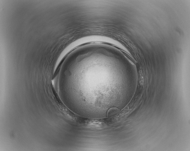 X0000116340471200912011353