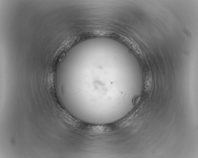 X0000116340473200912011353