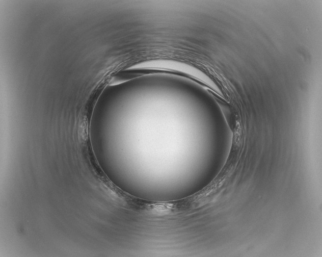 X0000116340474200912011353